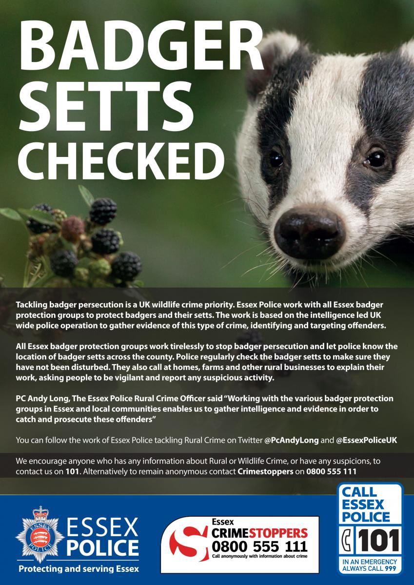 Essex Badger Protection Group